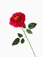 Цветы искусственные "Роза Претти" d-10 см 55 см, малиновый - фото 809175898