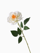 Цветы искусственные "Роза Претти" d-10 см 55 см, белый - фото 809175901
