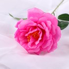Цветы искусственные "Роза Претти" d-10 см 55 см, розовый - фото 8800812