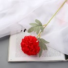 Цветы искусственные "Гортензия галант" d-7 см 43 см, красный - Фото 1