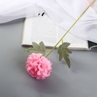 Цветы искусственные "Гортензия галант" d-7 см 43 см, розовый - фото 320995099
