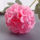 Цветы искусственные "Гортензия галант" d-7 см 43 см, розовый - фото 11134237