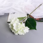 Цветы искусственные "Гортензия экстра" d-16 см 55 см, белый - фото 11379879