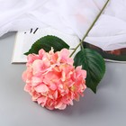 Цветы искусственные "Гортензия экстра" d-16 см 55 см, розовый - фото 11985001