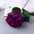 Цветы искусственные "Гортензия экстра" d-16 см 55 см, фиолетовый - фото 11985003