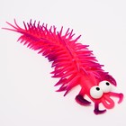 Антистресс сквиш мялка «Многоножек», в шоубоксе, МИКС - Фото 2