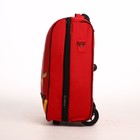 Чемодан детский малый 20", цвет бордовый - фото 24321387