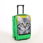 Чемодан детский малый 20", цвет салатовый - фото 23617118