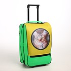 Чемодан детский малый 20", цвет зелёный/жёлтый - фото 23617126