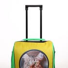 Чемодан детский малый 20", цвет зелёный/жёлтый - фото 23617130