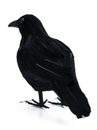 Фигурка TAKE IT EASY «Ворон», 27×8×17 см - Фото 8