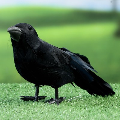 Фигурка «Ворон», 20×6×10 см