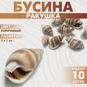 Бусины «Ракушка» 2×1 см, завиток, набор 10 шт., цвет коричневый 10070881