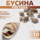 Бусины для творчества «Ракушка», 2×1 см, завиток, набор 10 шт., коричневые - Фото 4