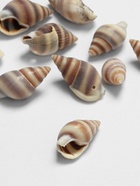 Бусины для творчества «Ракушка», 2×1 см, завиток, набор 10 шт., коричневые - Фото 5