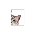 Набор обложек для тетрадей и дневников, ПП 12 шт, 212х347мм, 80 мкм, ErichKrause "Hiding Cats", прочные швы, микс - фото 9617853
