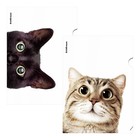 Папка-уголок А4, 160 мкм, ErichKrause "Hiding Cats", 4 дизайна, микс - фото 299239838