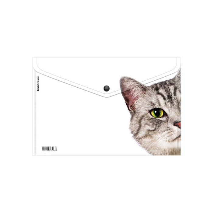 Папка-конверт на кнопке А4, 160 мкм, ErichKrause "Hiding Cats", полупрозрачная, микс