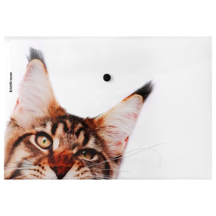 Папка-конверт на кнопке А4, 160 мкм, ErichKrause "Hiding Cats", полупрозрачная, микс