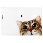 Папка-конверт на кнопке А4, 160 мкм, ErichKrause "Hiding Cats", полупрозрачная, микс - Фото 4