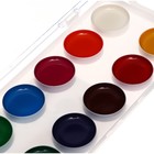 Краски акварельные 12 цветов ErichKrause "Pointes", без кисти, в пластиковой коробке с европодвесом - Фото 4
