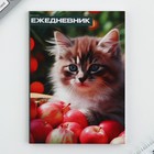 Ежедневник в тонкой обложке А6, 52 листа «Кошка» - Фото 6
