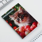Ежедневник в тонкой обложке А6, 52 листа «Кошка» - Фото 4