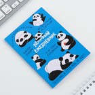 Ежедневник в тонкой обложке А6, 52 листа «Панда» - Фото 4