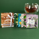 Чай в пакетиках «Дед авторитет» в коробке, 9 г (5 шт. х 1,8 г). - фото 26589711