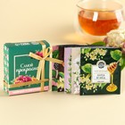 Чай в пакетиках «Самой прекрасной», 9 г ( 5 шт. х 1,8 г) - фото 26589716