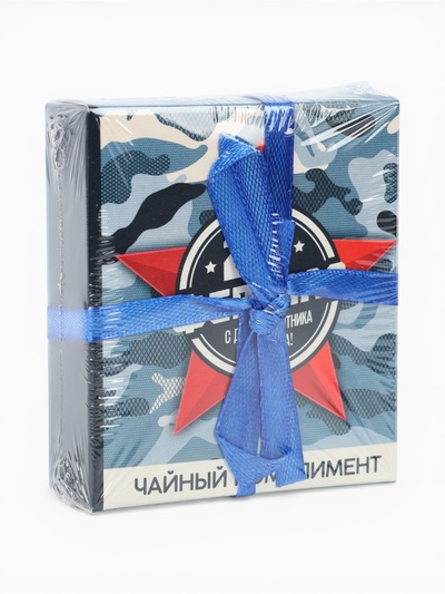 Чай подарочный «23 февраля», 9 г (5 шт.×1.8 г)