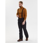 Полукомбинезон горнолыжный утёпленный мужской, размер 54, цвет чёрный - Фото 2