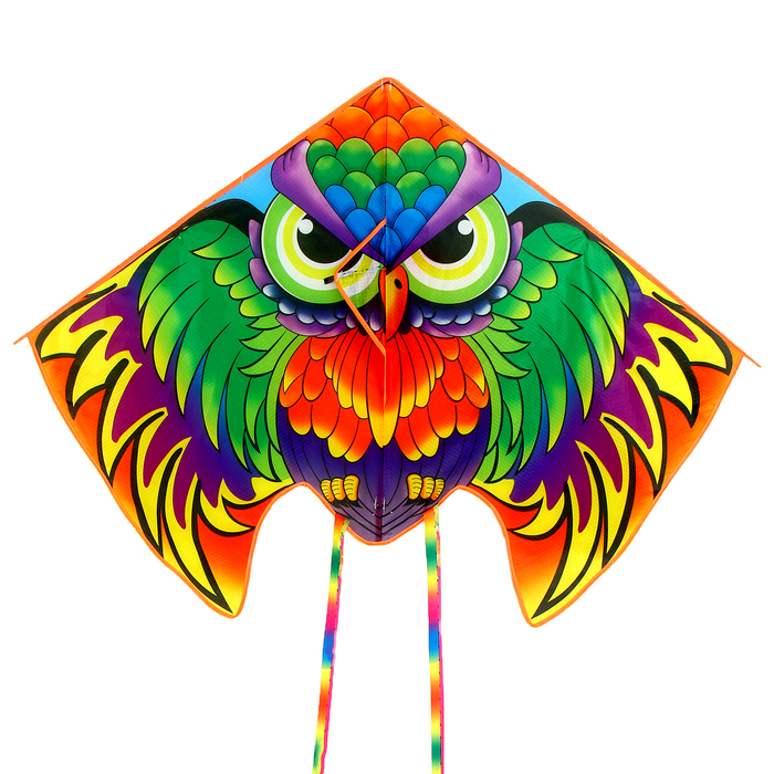 Воздушный змей «Сова», цвета МИКС - Фото 1