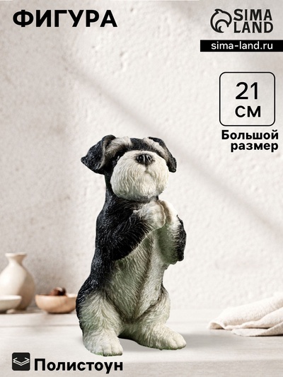 Фигурка полистоун «Попрошайка Шнауцер», 9×10×21 см