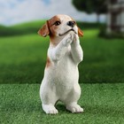 Фигурка полистоун «Попрошайка песик», 10×16×22 см - Фото 1