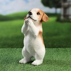 Фигурка полистоун «Попрошайка песик», 10×16×22 см - Фото 2