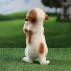 Фигурка полистоун «Попрошайка песик», 10×16×22 см - Фото 3