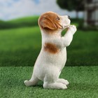 Фигурка полистоун «Попрошайка песик», 10×16×22 см - Фото 4