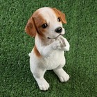 Фигурка полистоун «Попрошайка песик», 10×16×22 см - Фото 5