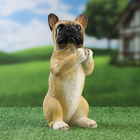 Фигурка полистоун TAKE IT EASY «Попрошайка бульдог», 10×11×20 см - Фото 1