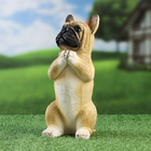 Фигурка полистоун TAKE IT EASY «Попрошайка бульдог», 10×11×20 см - Фото 2