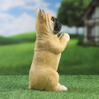 Фигурка полистоун TAKE IT EASY «Попрошайка бульдог», 10×11×20 см - Фото 4