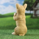 Фигурка полистоун TAKE IT EASY «Попрошайка бульдог», 10×11×20 см - Фото 4