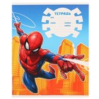 Подарочный набор для мальчика, 10 предметов, Человек-паук - фото 37954872