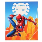 Подарочный набор для мальчика, 10 предметов, Человек-паук - фото 37954873