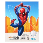 Подарочный набор для мальчика, 10 предметов, Человек-паук - фото 37954875