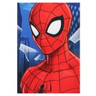 Подарочный набор для мальчика, 10 предметов, Человек-паук - фото 37954876