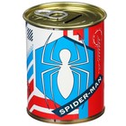 Подарочный набор для мальчика, 10 предметов, Человек-паук - фото 37954865