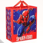 Подарочный набор для мальчика, 10 предметов, Человек-паук - фото 37954866