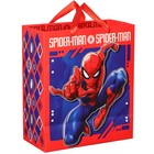 Подарочный набор для мальчика, 10 предметов, Человек-паук - фото 37954867